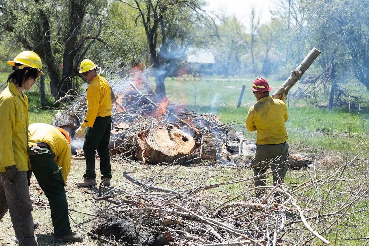 Firefighters in yellow gear manage a controlled burn, clearing debris and logs while smoke rises in a grassy area.