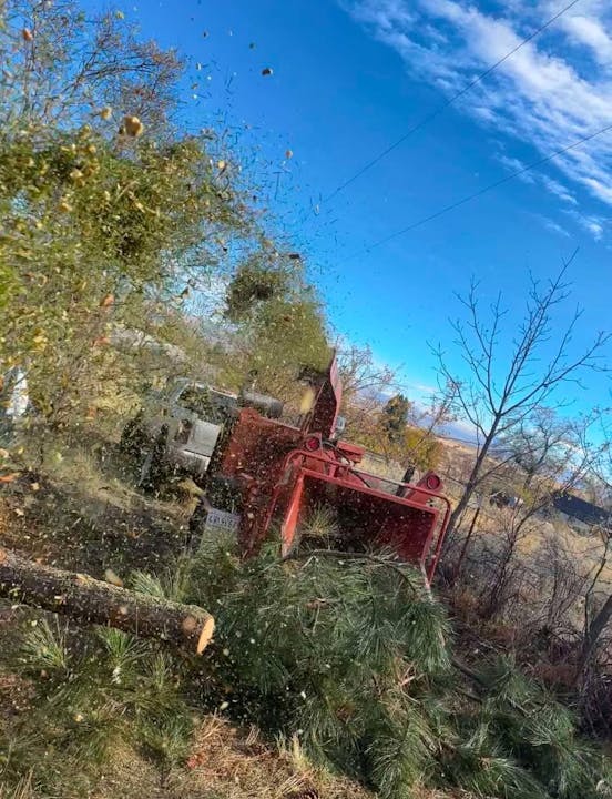A chipper machine is processing tree branches, with debris flying into the air against a clear blue sky.