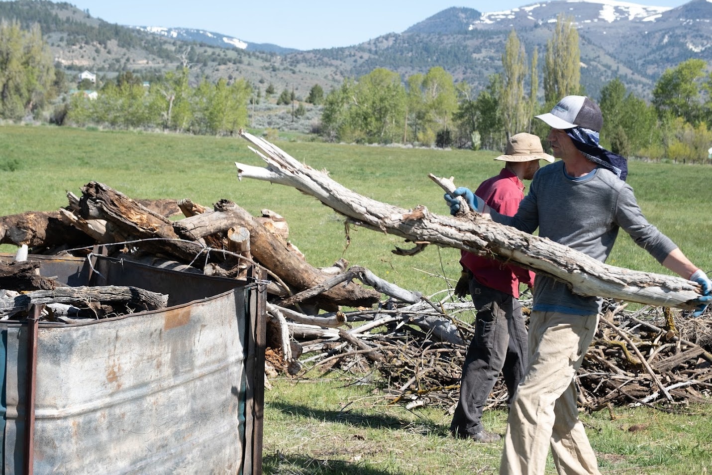 Two people are working outdoors, collecting and moving logs in a green field with mountains in the background.