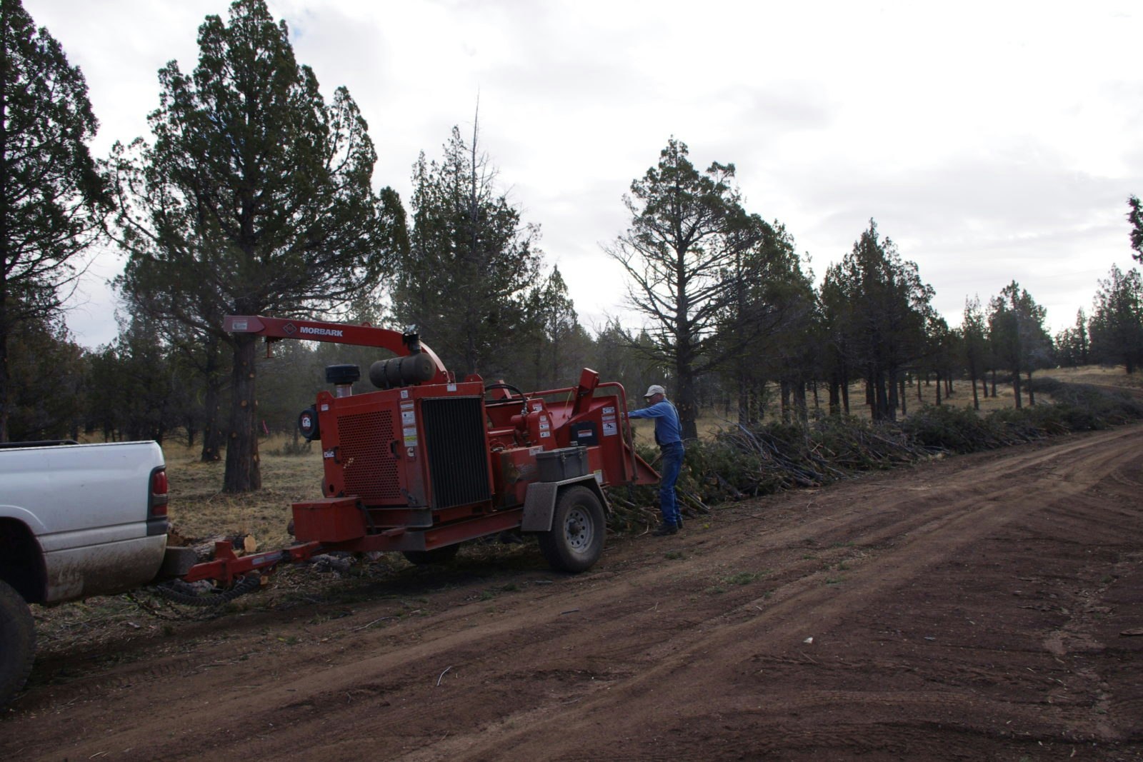 A worker operates a wood chipper, processing branches in a forested area.