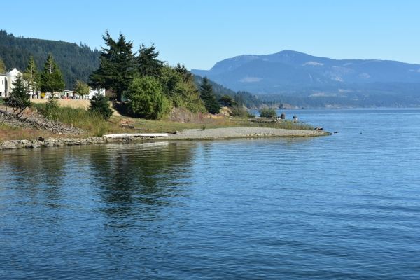 May contain: plant, tree, fir, land, nature, outdoors, scenery, water, sea, lake, shoreline, and coast