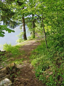 May contain: path, nature, outdoors, trail, bench, furniture, scenery, plant, vegetation, land, tree, woodland, grass, and park