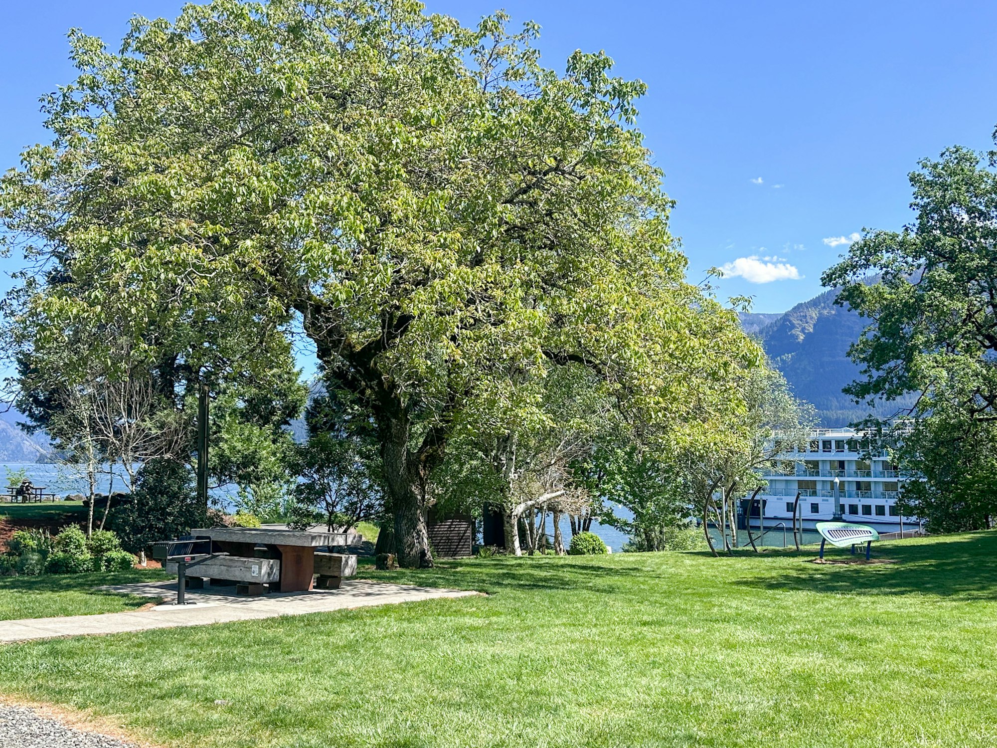 A scenic park with a large green tree, picnic tables, a view of water, and distant mountains under a clear blue sky.