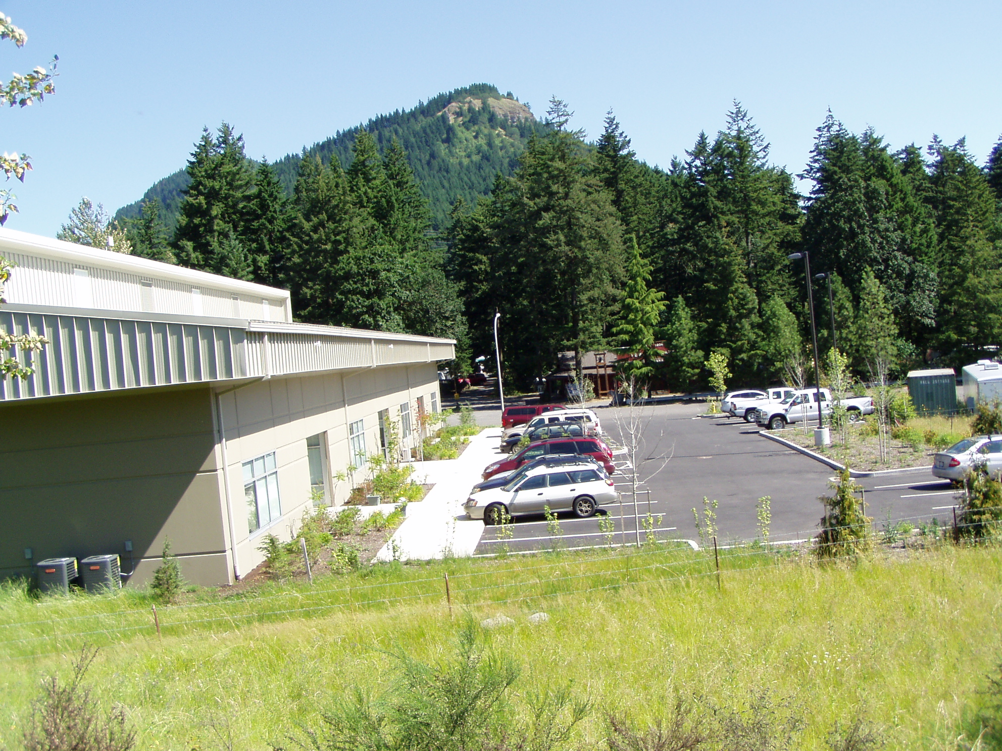 May contain: fir, plant, tree, architecture, building, car, transportation, vehicle, road, machine, and wheel
