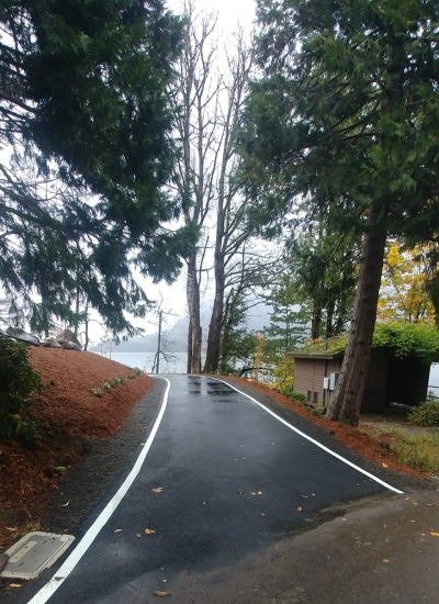 May contain: road, city, street, urban, nature, outdoors, scenery, tarmac, plant, tree, and vegetation