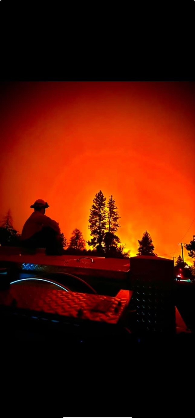A person watches a forest fire, with trees silhouetted against a fiery orange sky.