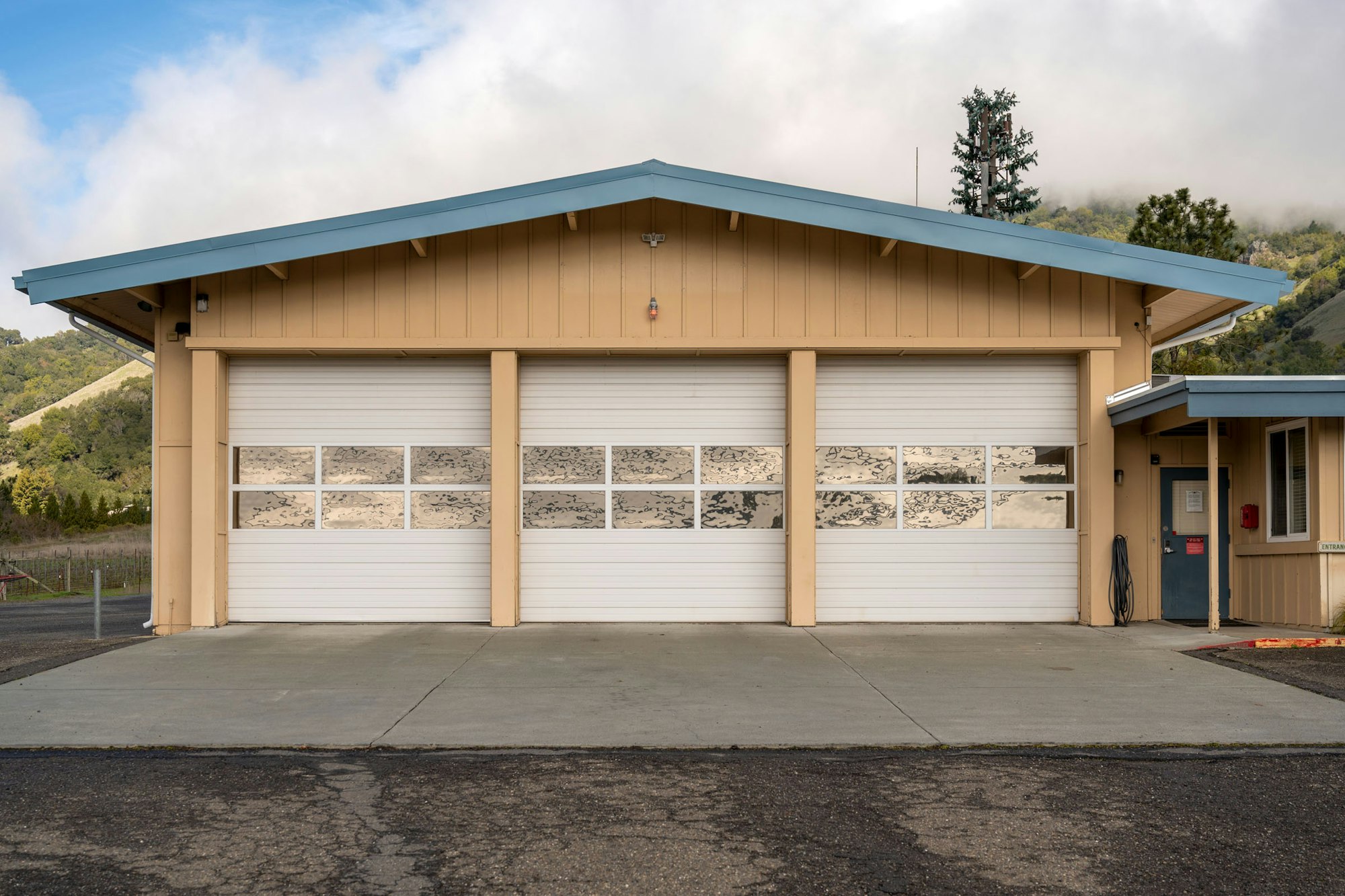 May contain: tree, plant, and garage