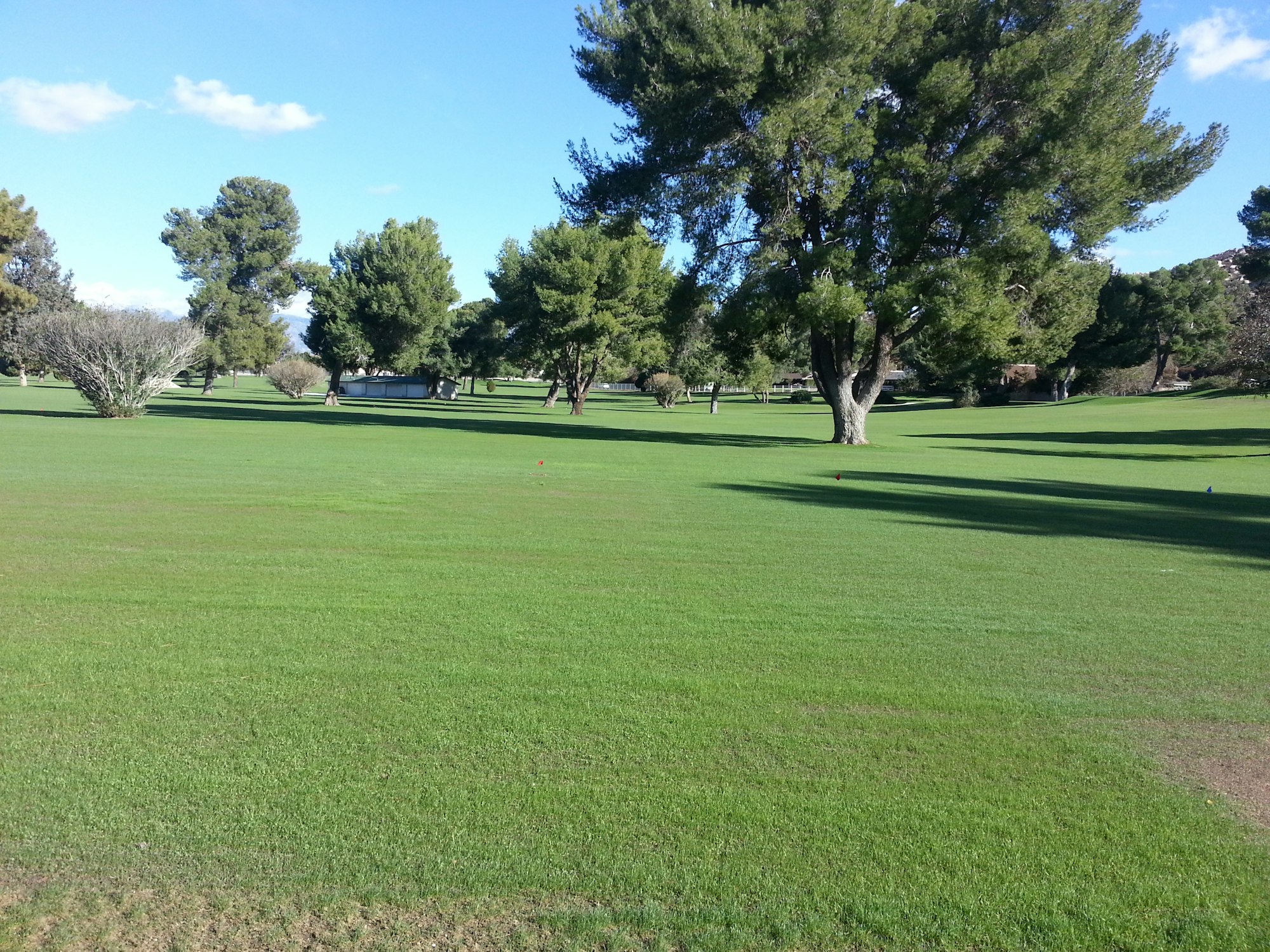 May contain: grass, plant, outdoors, field, vegetation, lawn, and park