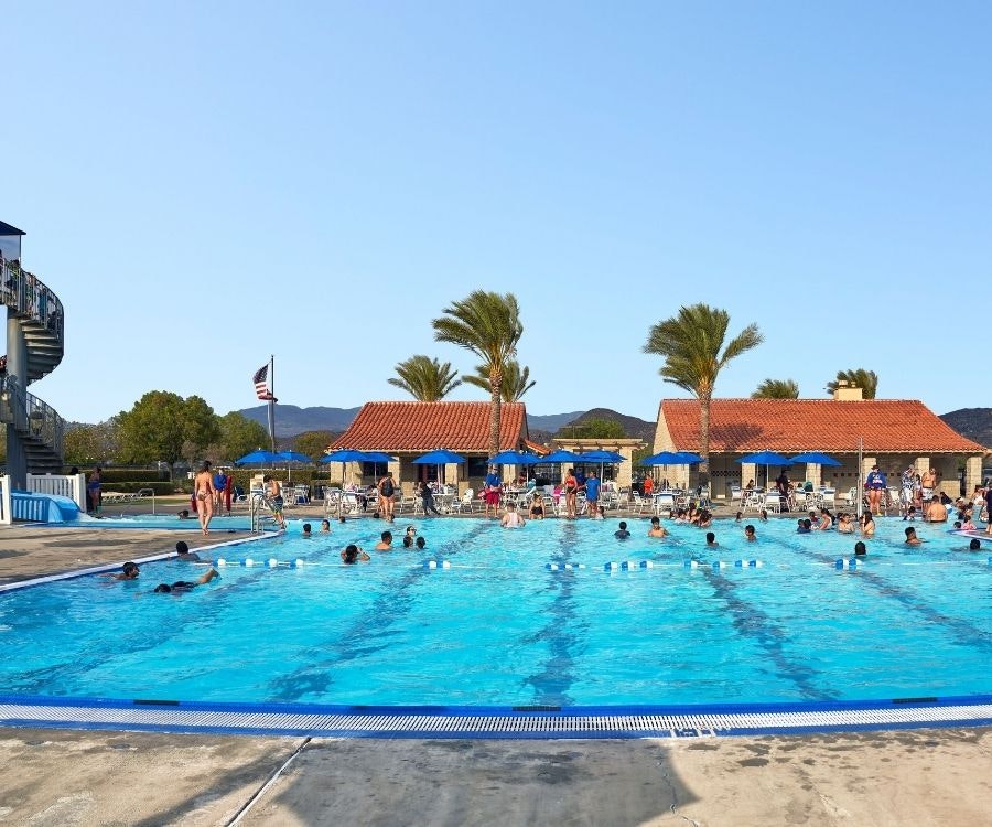 A sunny pool scene with people swimming, lounging, and enjoying the day, surrounded by palm trees and blue sky.