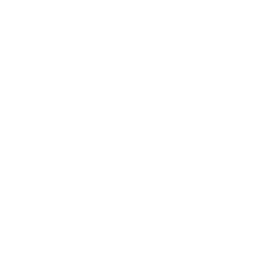 May contain: footprint