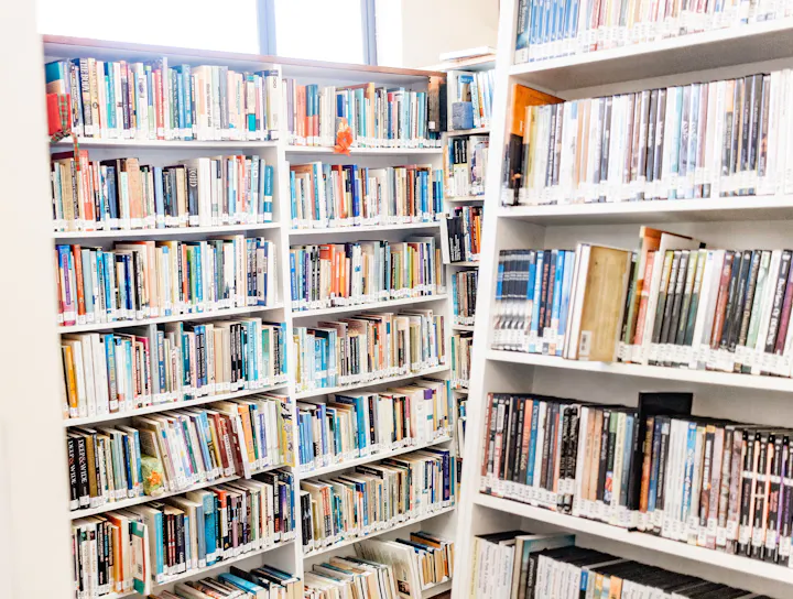 The image shows a library with two shelves filled with books, organized and labeled. Natural light comes in from a window.