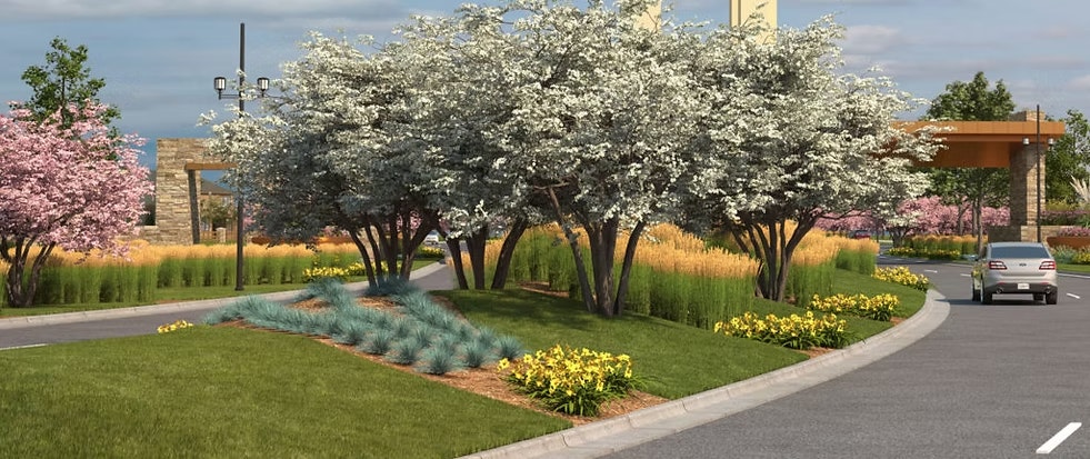 A landscaped roundabout with white and pink flowering trees, green shrubs, yellow flowers, and a car on the adjacent road.