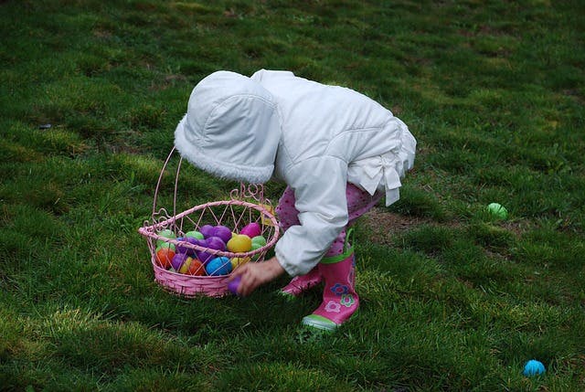 May contain: person, human, grass, plant, basket, food, and egg