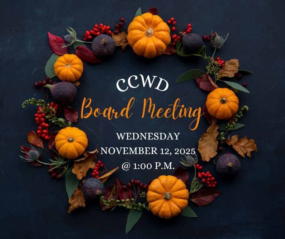 "CCWD Board Meeting, Wednesday, November 12, 2025, 1:00 PM" is surrounded by autumn decor of pumpkins and leaves.
