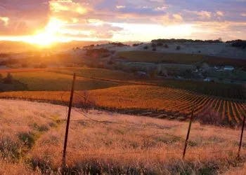 Sunset over a rolling landscape with vineyards, a wire fence in the foreground, and a warm sky.
