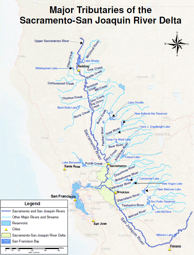 A map showing major tributaries of the Sacramento-San Joaquin River Delta with cities and landmarks in California.