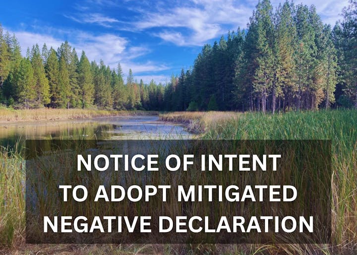 Forest and wetland scene with text: "NOTICE OF INTENT TO ADOPT MITIGATED NEGATIVE DECLARATION."