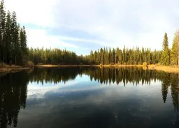 A serene lake with a reflection of the surrounding forest under a clear sky.