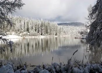 Snow-covered forest by a calm lake with reflections in the water, under a cloudy sky.