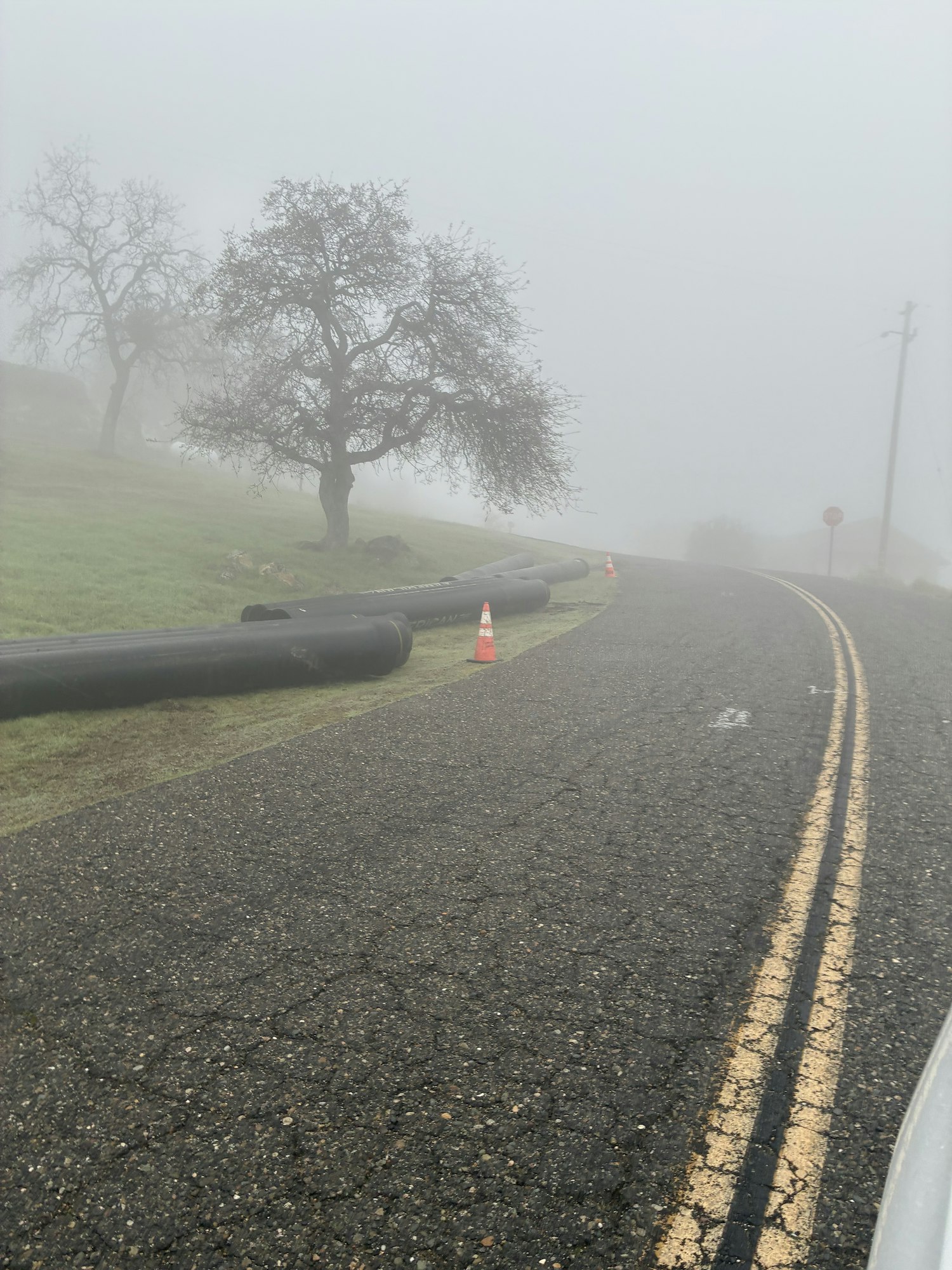 A foggy road with yellow lane markings, a tree, and safety cones. Visibility appears low due to the fog.