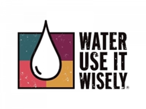 A logo with a water droplet and the slogan "WATER USE IT WISELY."