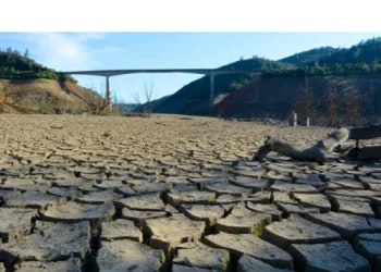 Dried-up riverbed with cracked soil leading up to a bridge.