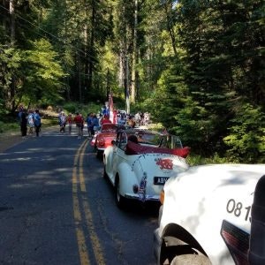 A line of classic cars on a road with people walking alongside in a wooded area.