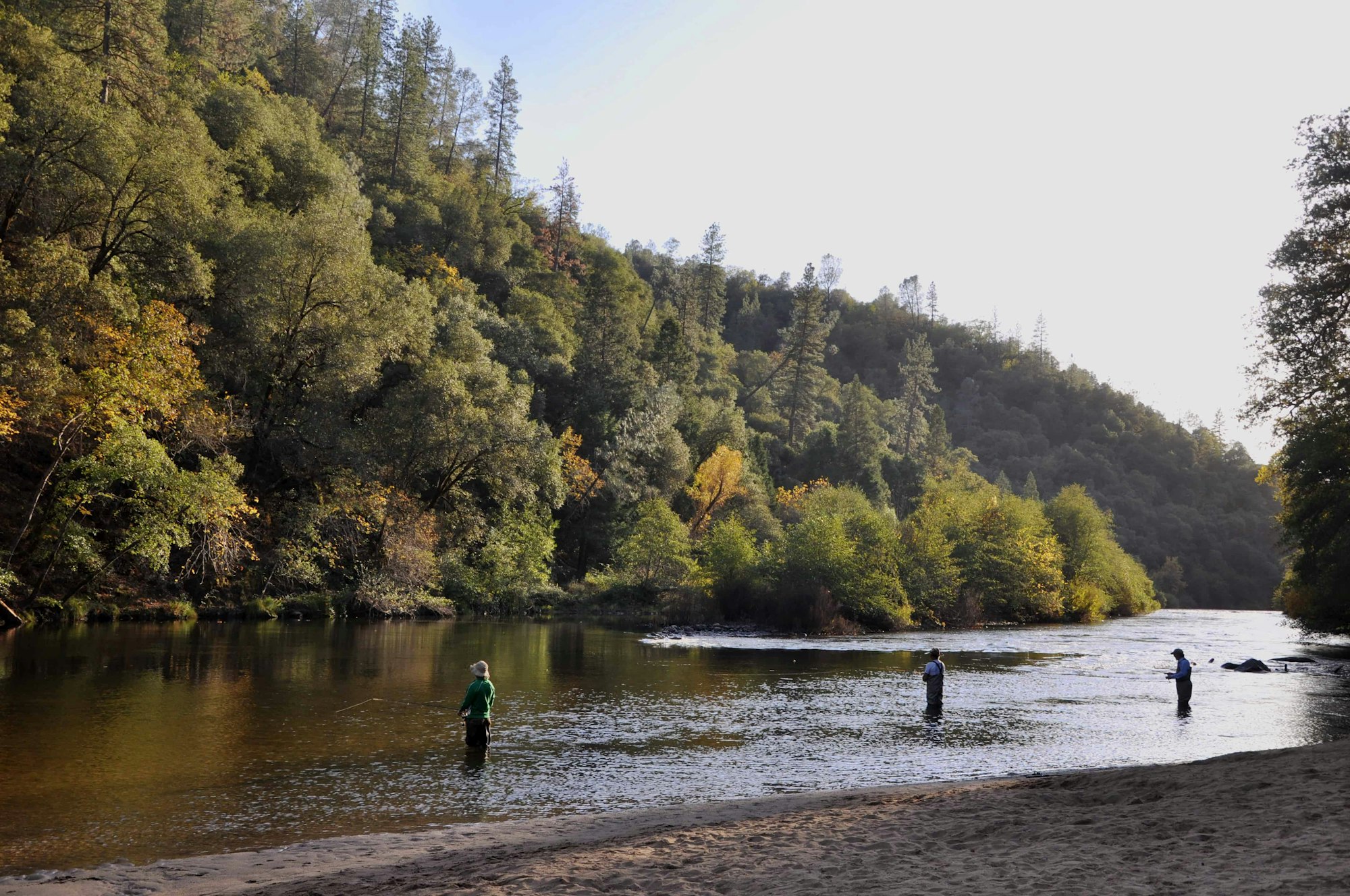 People fishing in a river surrounded by a forest.