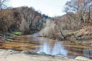 A serene river with bare trees and a sandy shore, under a clear sky.