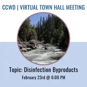 An announcement for a virtual town hall meeting about disinfection byproducts, set for February 23rd at 6 PM, with a river scene.