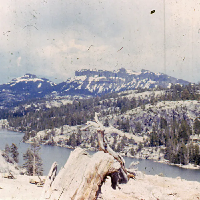 A weathered tree trunk in the foreground with a snow-capped mountain and lake in the background. Image shows signs of aging and wear.