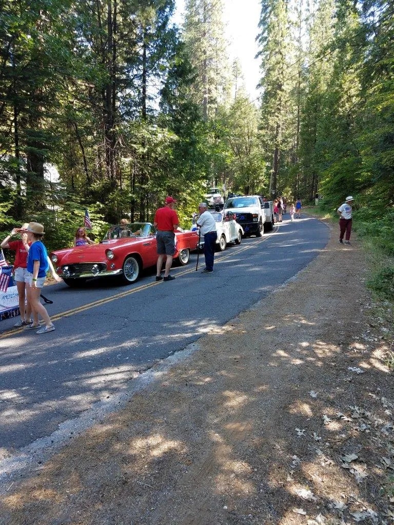 A sunny road lined with people and classic cars, possibly at a parade or gathering, amidst a forested setting.