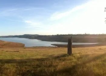 A serene lakeside landscape with grassy fields and a clear sky at sunset.