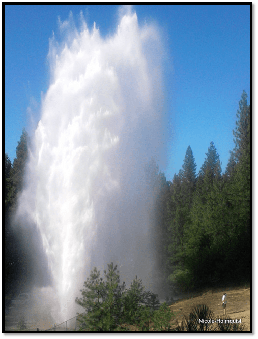 A towering geyser erupts amidst trees under a blue sky.