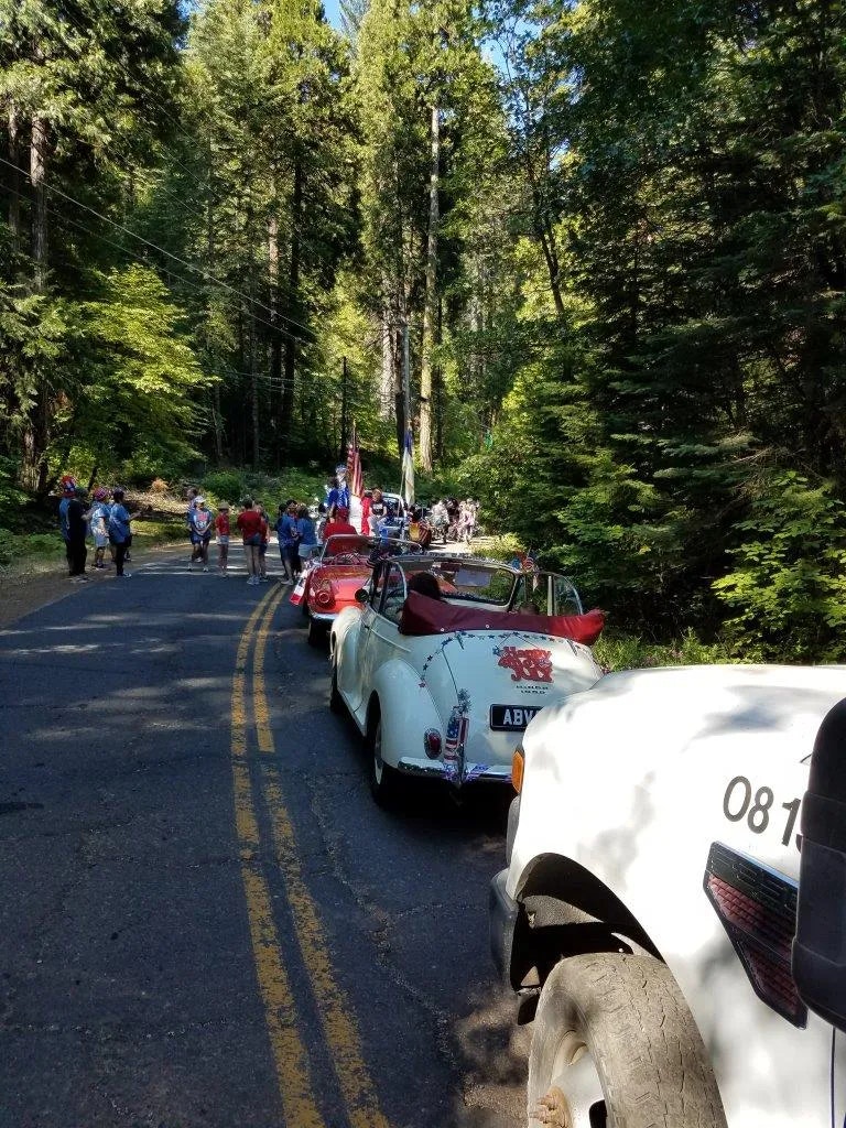 Vintage cars on a forest road with people walking nearby, possibly at a car rally or show.