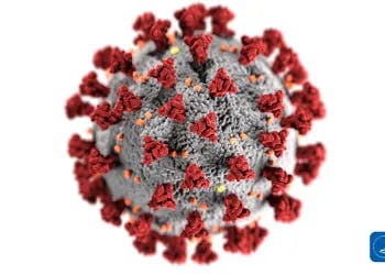 A 3D illustration of a virus, likely representing the SARS-CoV-2 virus responsible for COVID-19.