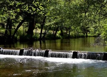 A tranquil forest scene with a small waterfall over a weir in a stream, surrounded by green trees and sunlit foliage.