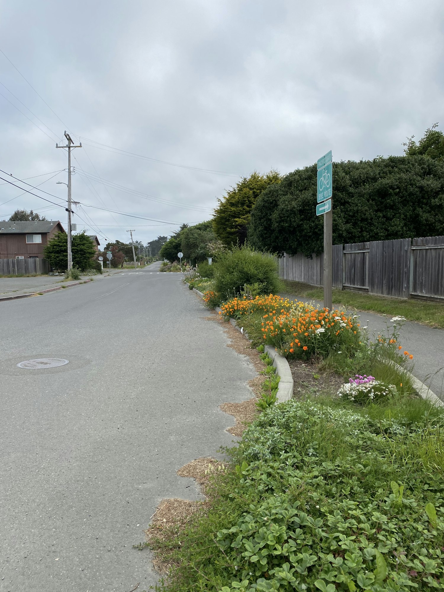 May contain roadway, pedestrian and bike path separated by landscaping