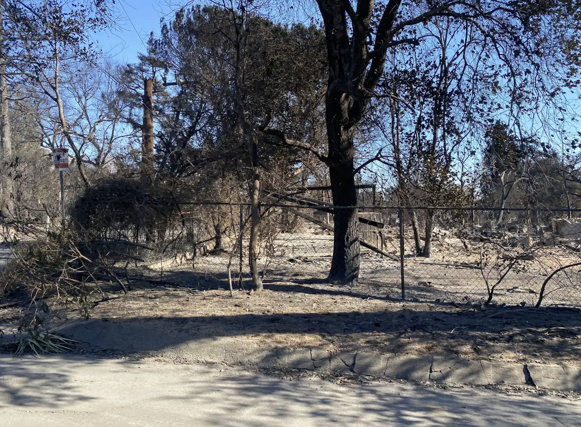 Burnt trees and debris behind a chain-link fence in a desolate area.