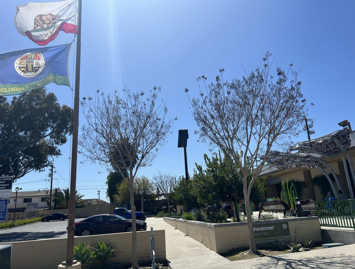 May contain: flag, person, city, car, transportation, and vehicle