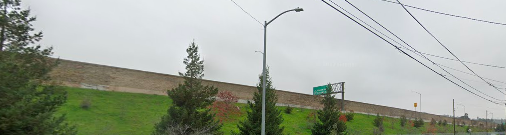 May contain: plant, tree, utility pole, fir, and conifer