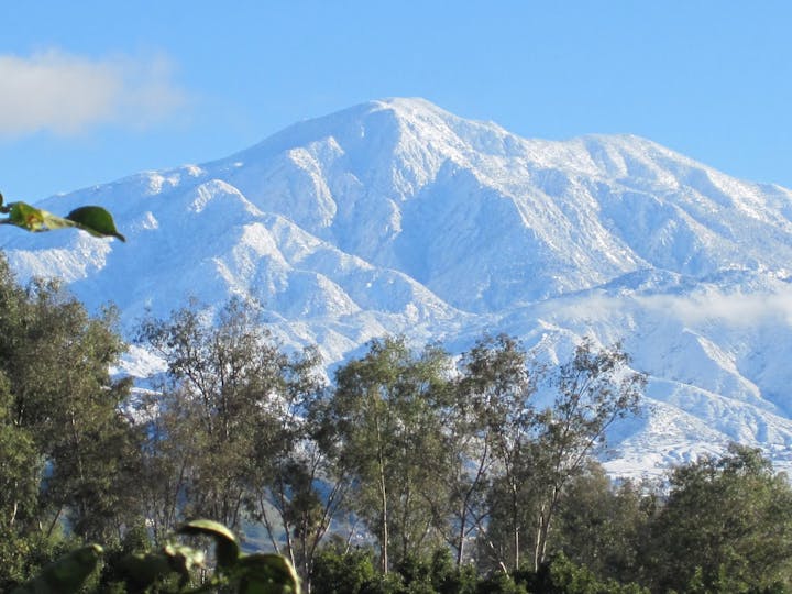 A snow-capped mountain peaks through greenery under a bright blue sky, showcasing a serene winter landscape.