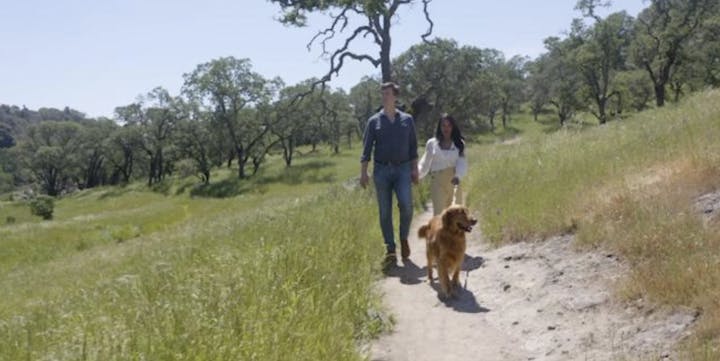 A couple walking a golden retriever on a dirt trail in a sunny, grassy woodland.
