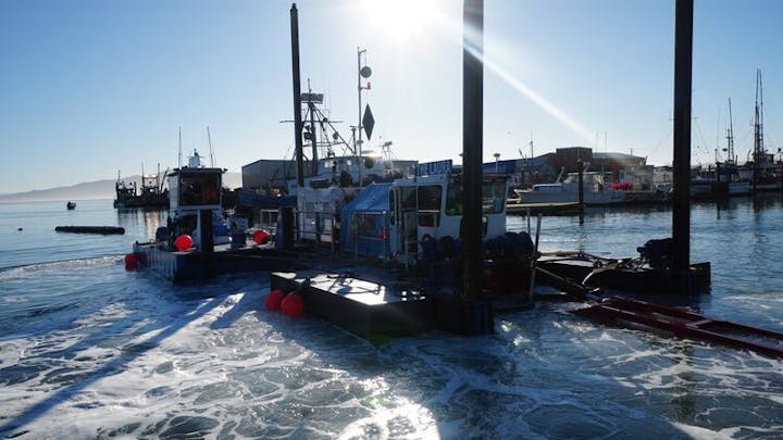 May contain: water, waterfront, transportation, vehicle, watercraft, barge, boat, harbor, pier, and yacht