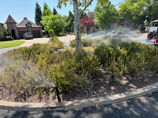A landscaped area with shrubs being watered by sprinkler systems, surrounded by homes and trees on a sunny day.