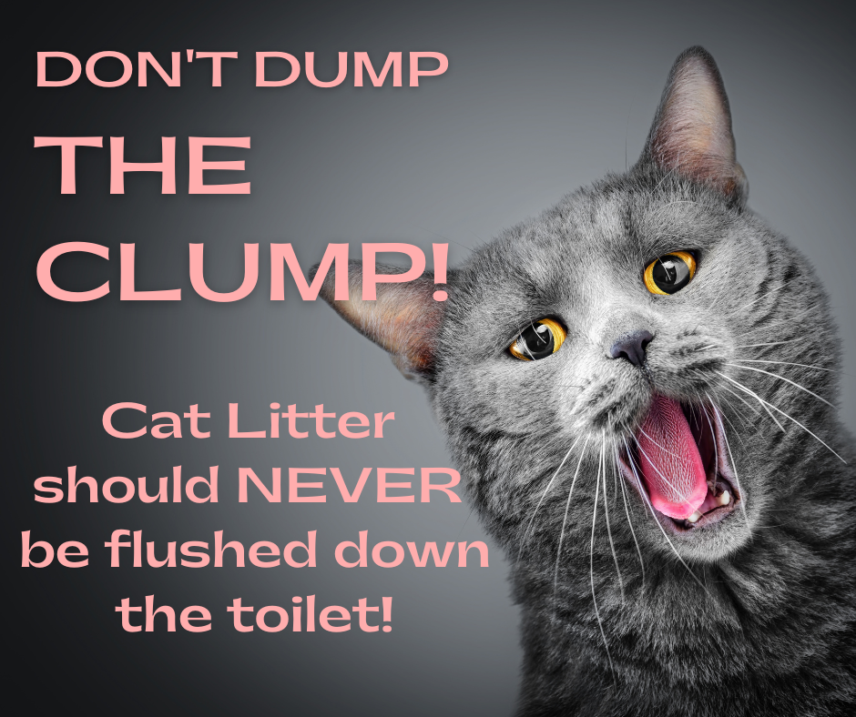 May contain: body part, mouth, person, animal, cat, mammal, and pet