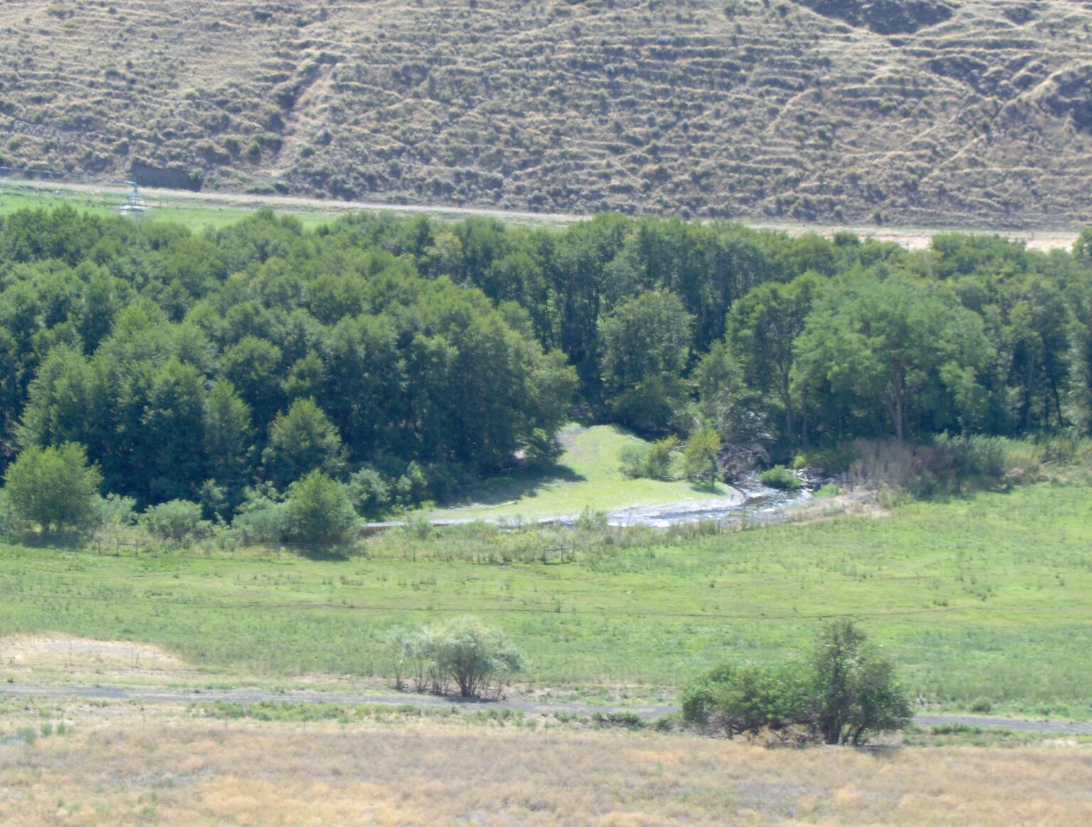 A lush green area with trees and a small stream, surrounded by arid hills.