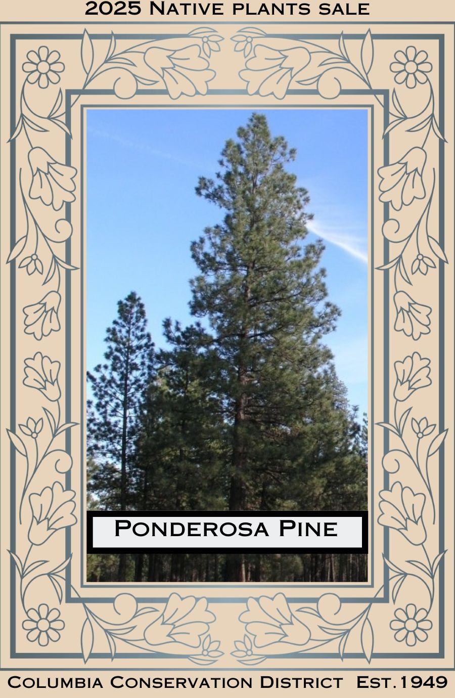 Image of a Ponderosa Pine with floral border, promoting a 2025 Native Plants Sale by Columbia Conservation District.