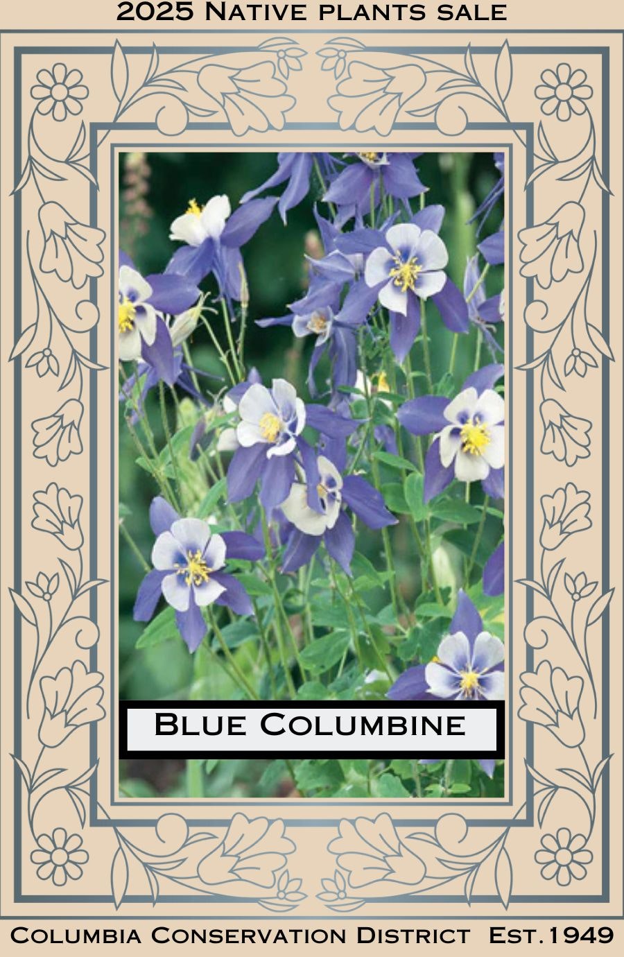 "2025 Native plants sale" poster featuring blue columbine flowers by Columbia Conservation District.