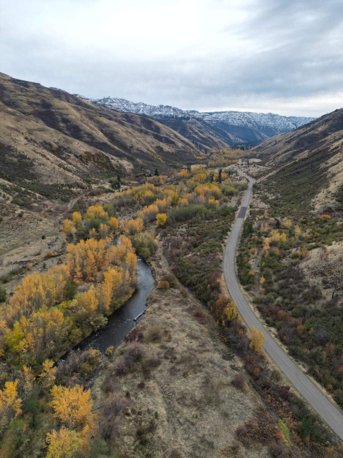 An aerial view of a winding road next to a river with autumn trees and distant snow-capped mountains.